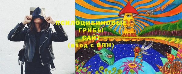 бошки Медвежьегорск