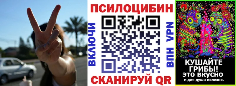 Купить где  Среднеуральск  Галлюциногенные грибы Psilocybine cubensis 